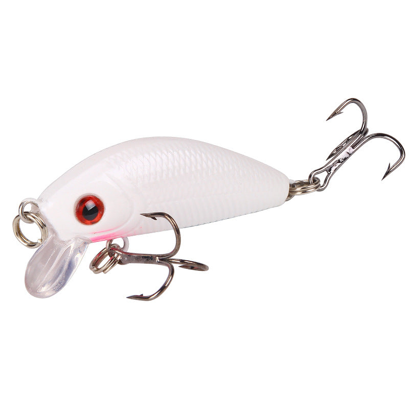 Lure (Artificial Fishing Bait) – 5cm/4.2g, for Saltwater and Freshwater Fishing