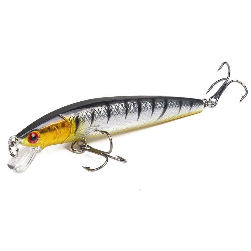 Floating Lure (with Rattles) – 10 cm / 9 g – Realistic Fishing Bait for Saltwater and Freshwater – Fishing Gear