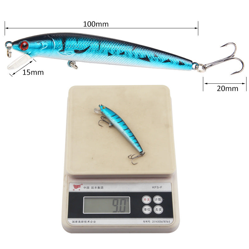 Floating Lure (with Rattles) – 10 cm / 9 g – Realistic Fishing Bait for Saltwater and Freshwater – Fishing Gear